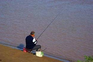 娱乐吃瓜君钓鱼,揭秘娱乐圈背后的秘密与八卦  第3张