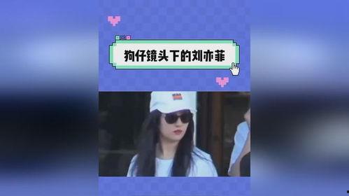 吃瓜娱乐视频网站 第3张 吃瓜娱乐视频网站 第3张