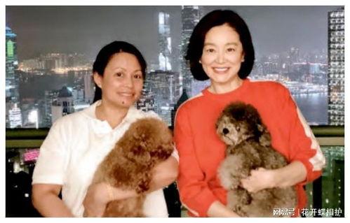 吃瓜娱乐圈博主真吗,真相与谣言的较量  第2张