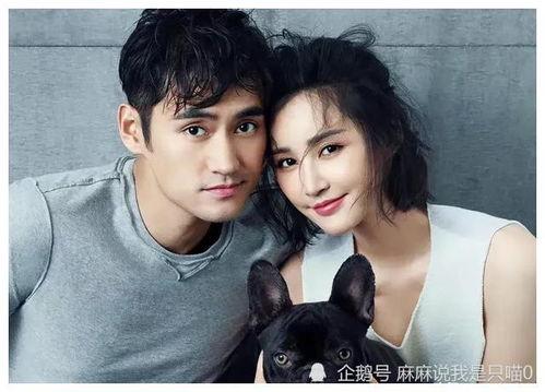 娱乐圈吃瓜小达人,揭秘明星幕后故事  第3张