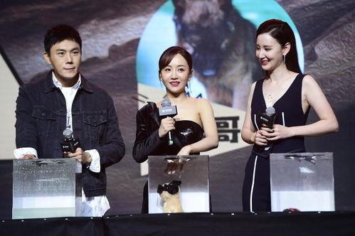 娱乐圈吃瓜爆料节目,吃瓜爆料节目深度解析  第2张